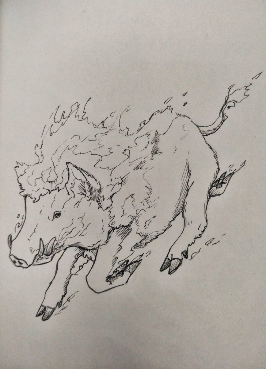 Fiery beast 

#inktober #inktober2025 #Inktober_ИвовыйЛес