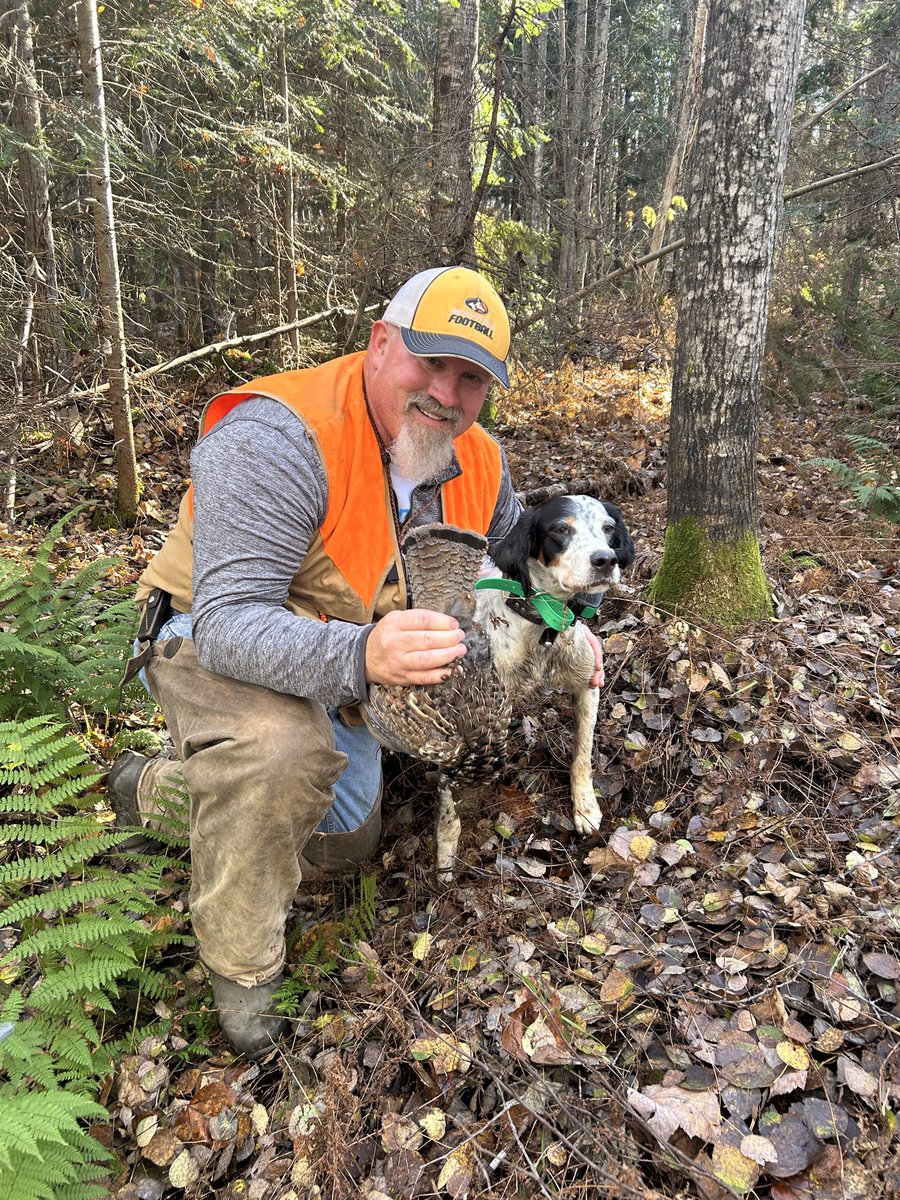 Andy Zeeman (@andy_zeeman) on Twitter photo 