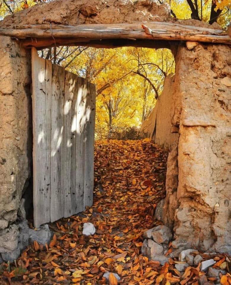 RafiullahArman9's tweet photo. غزل
یادونو د اخیستې ده په سر راسره شپه ده
بې خوبه تر سبا پورې اکثر راسره شپه ده

یا زه یم یا غزلې یا سګرټ د سوپې ژۍ ده
په ویښه مې تر څنګه تر سحر راسره شپه ده

کیسې د دېوالونو ته بلا کلک زړه په کار دی
یو زه په دې پوهیږم بل خبر راسره شپه ده

ارمان- https://t.co/wXWNmba24X