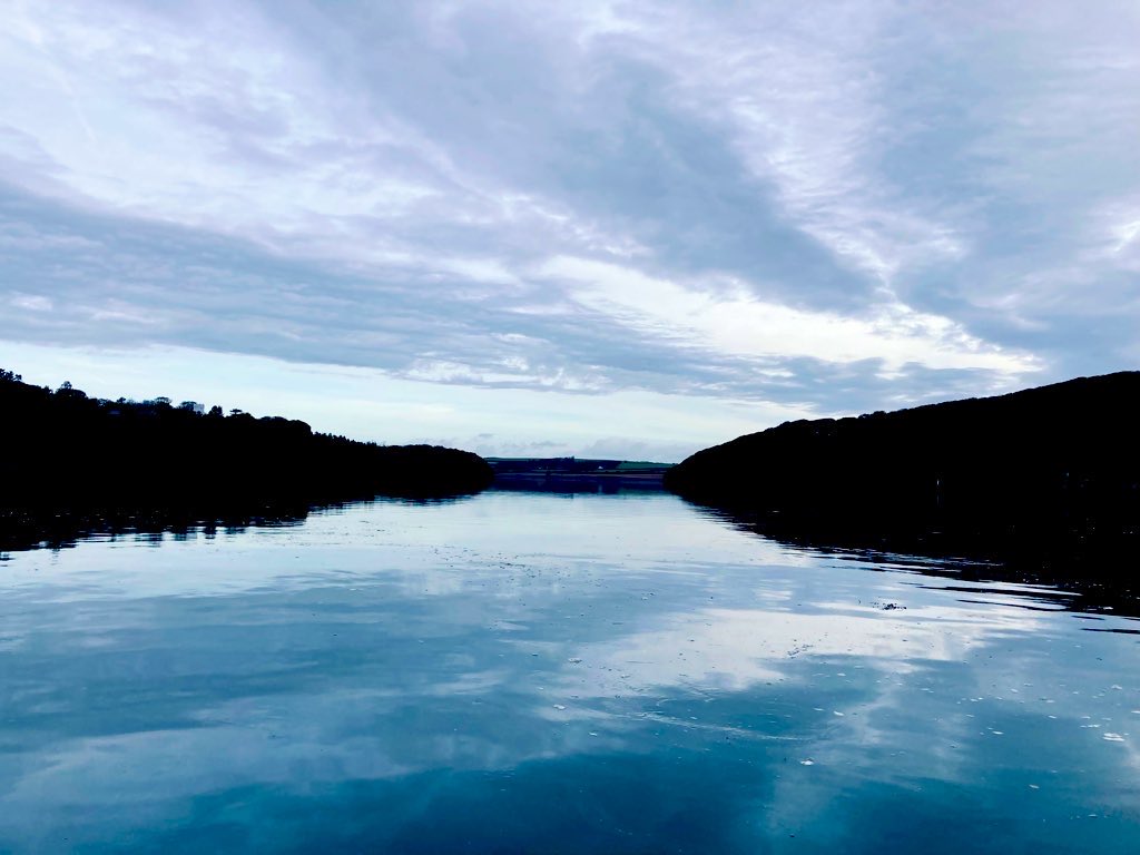 Chester the Crow (@ne_molyneux) on Twitter photo 