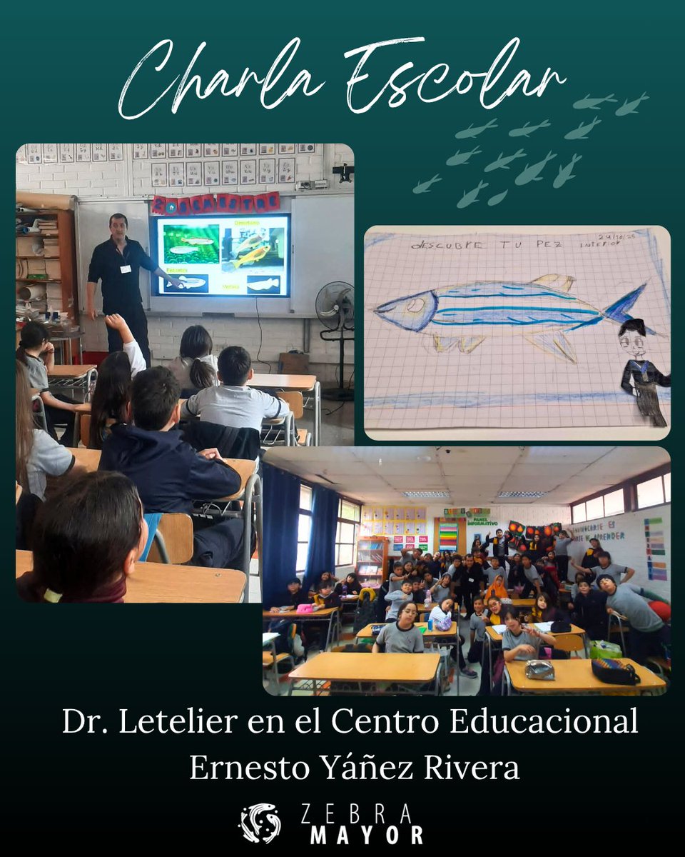 zebramayor's tweet image. El pasado viernes el Dr. @canicacanica visitó al 4to básico del Centro Educacional Ernesto Yañez Rivera, donde "dedcubrieron su pez interior"
🐟🏫🎒✨️
¡¡Fíjense del detalle de las hermosas ilustraciones que hicieron!!
🥰👨‍🎨👩‍🎨
#fishlab #scienceoutreach #scientificart