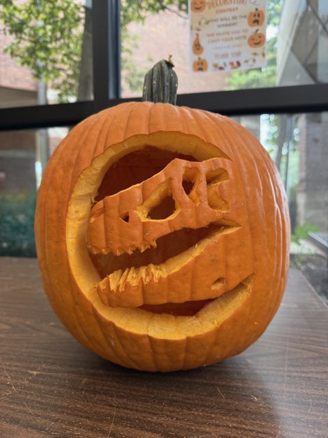 Azalea Orthopedics tweet media