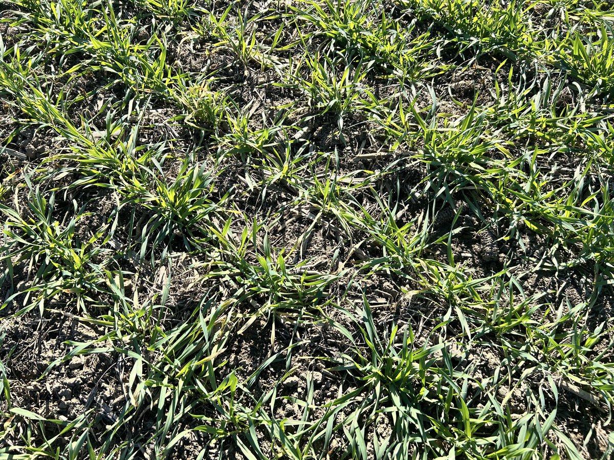 Phil Bailey tweet media