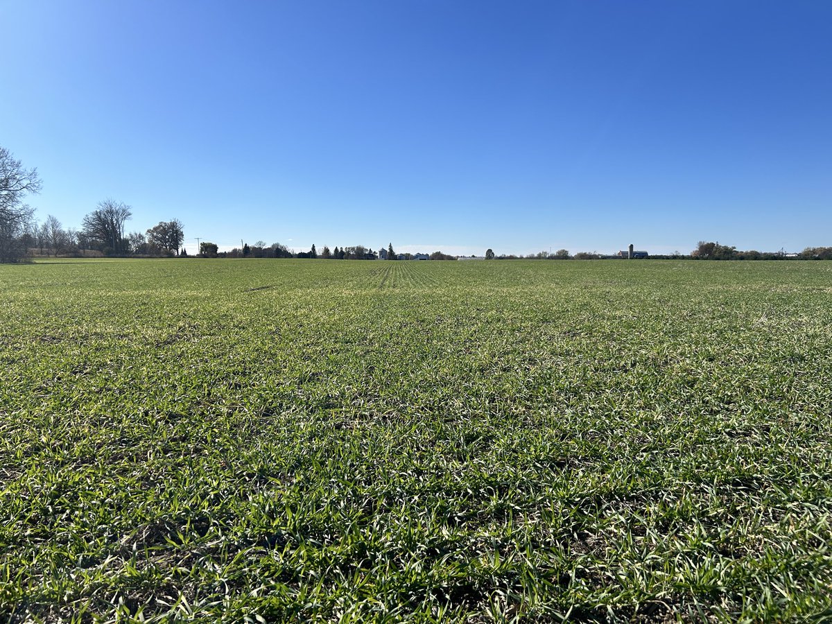 Phil Bailey tweet media