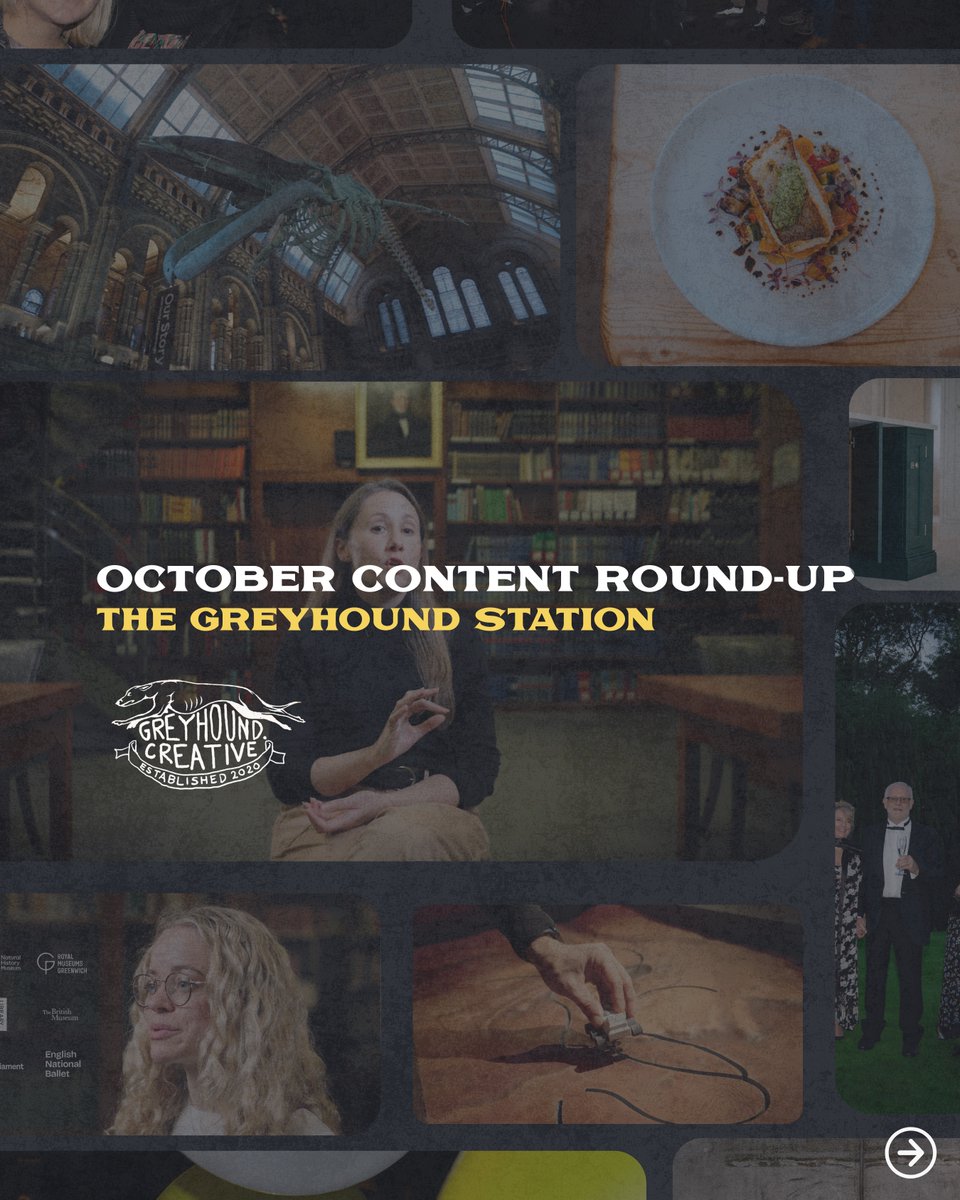 Greyhound Creative tweet media