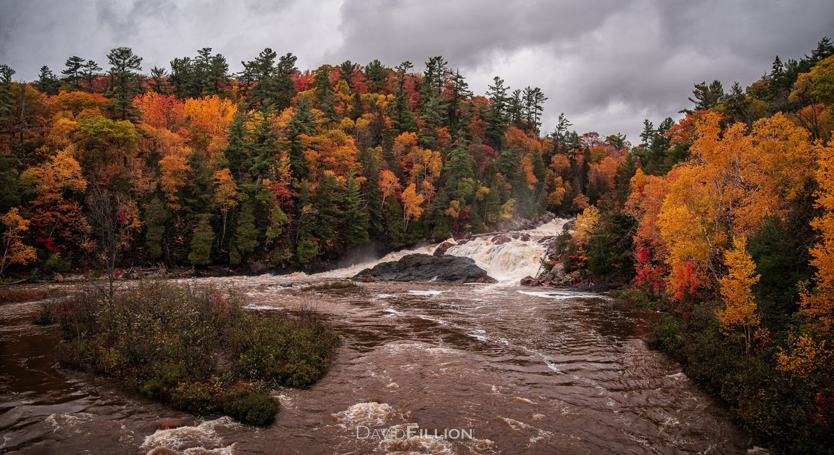 davidfillion's tweet photo. Chippewa Falls - Algoma, Ontario 

Shot on @sonyalpha a99ii 

#algoma #northernontario #chippewafalls #waterfalls #autumn #fall #ontario #transcanadahighway #hwy17north #canada #photograghy #explore #sonyalpha #a99ii #SonyAlphasClub #sonyImages #dfproductions https://t.co/cEeIyjeuJC