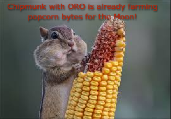 Demodex777's tweet photo. CRYPTO HUMOR! ORO: Data to the Moon! 🚀💥
"Don't wait for the AI ​​giants to eat all the popcorn-with ORO, every byte is yours, and the profits are in your pocket!" 😂🔥#AIFuture #ORODataBoom #CryptoAI #DataMoon #DeFiData #AIHumor #PumpTheData https://t.co/9Fd0CzcwfJ
