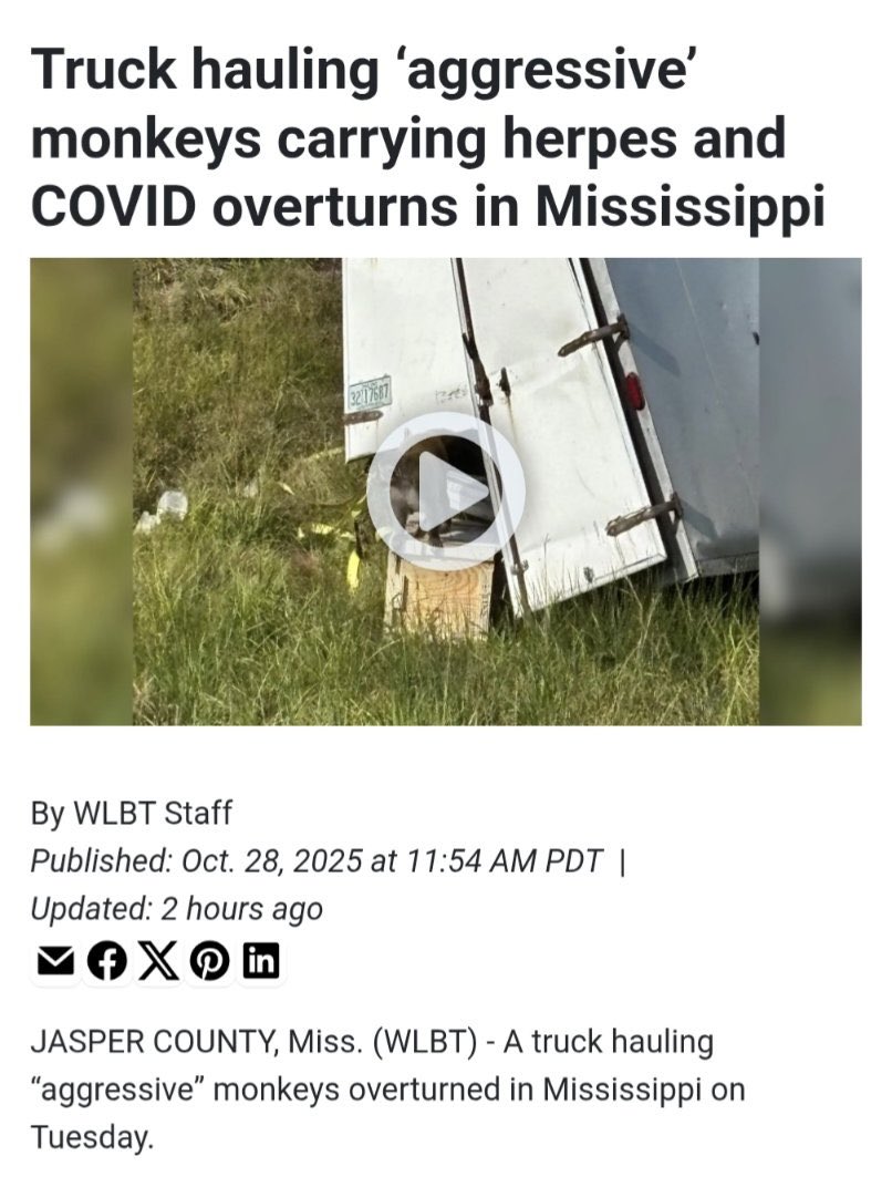 SolNFTs's tweet image. Today I was arrested bringing the core @indiemonkes community to our annual Chuck E Cheese event 

My license has been revoked and ICE is deporting me back to Canada 

Please keep me &amp;amp; my community in your prayers today