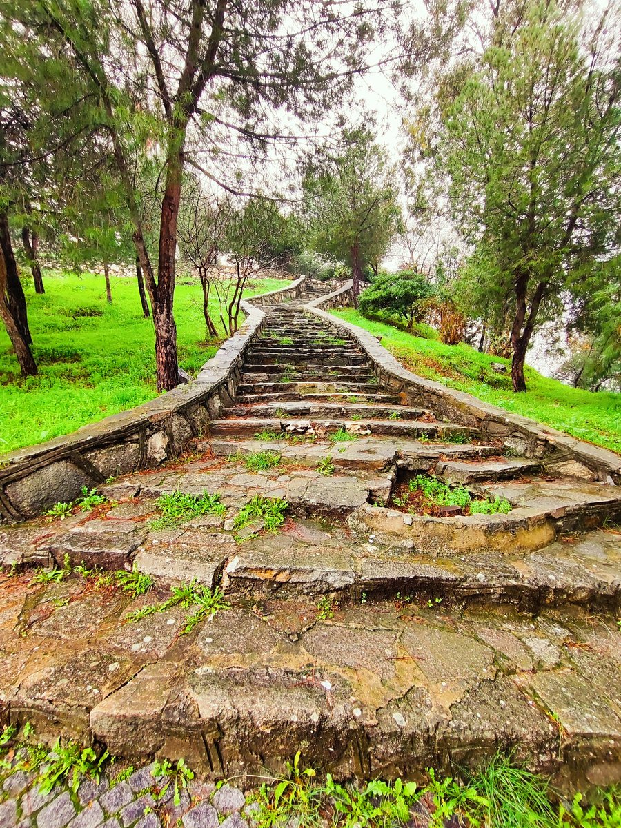 Gülten Akın/ O Elindekini

Ellerim tutmanın elleri gözlerim bakmanın
Benim değil ayaklarım yürümenin
Solumaya bir yerlerim sevmeye bir başkası
Ben yaşamanın olmalıyım öyleyse, değilim

Benim yaşamam mı ne, belki de şu:
Kesin bir şiirde kendi gibi olmak
Bir kapı hep nasıl açılır