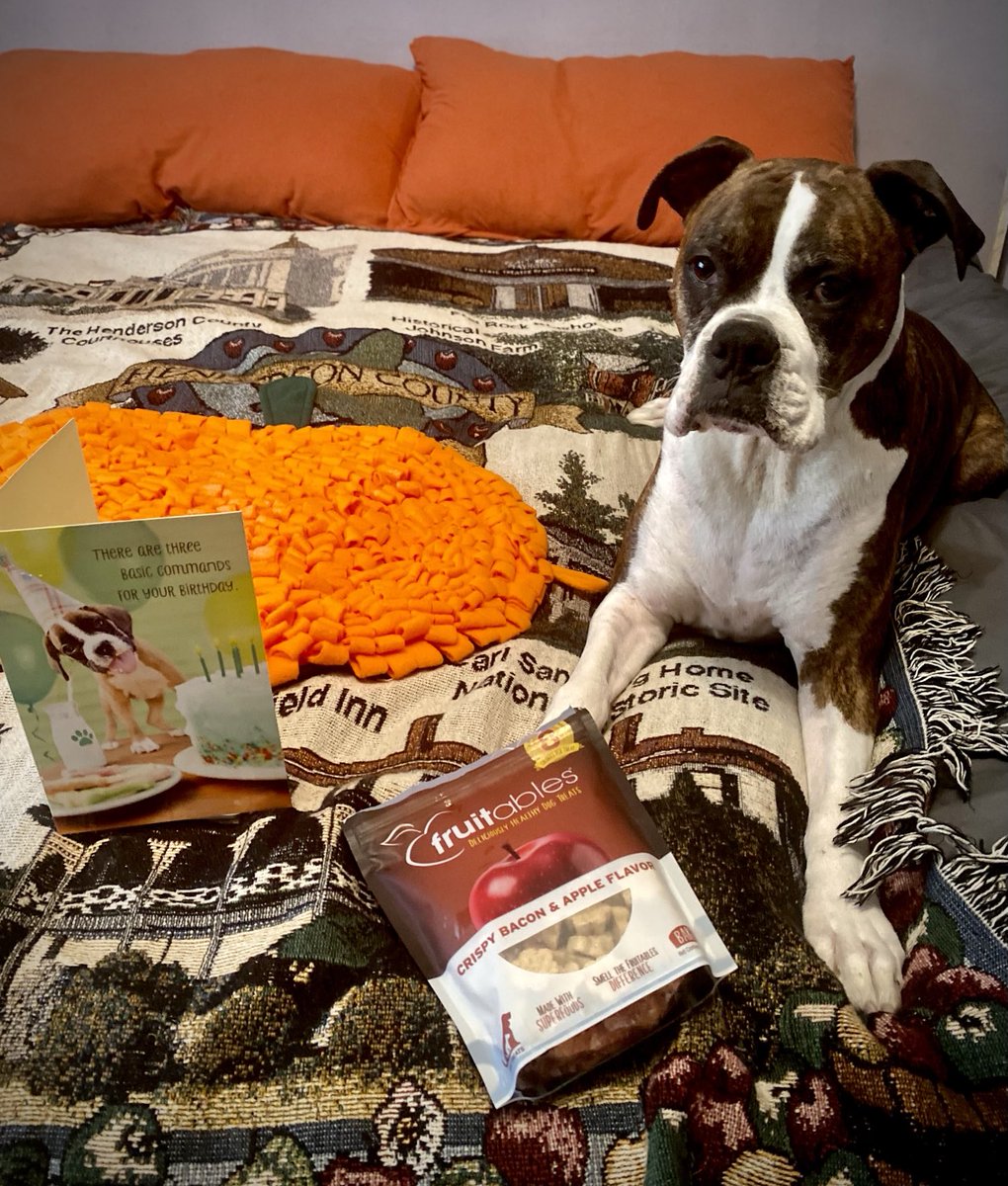 It’s my Birthday and I just got this awesome Snuffle Mat with treats and a beautiful card from my friends Zinny, Winny, Lucy, and Angel Mushu! #HappyBirthdayGunner #7YearsOld #ThankYou ⁦<a href="/mommasboymushu/">Angel Mushu😇🌈, Zinny🖤, Winny💓</a>⁩