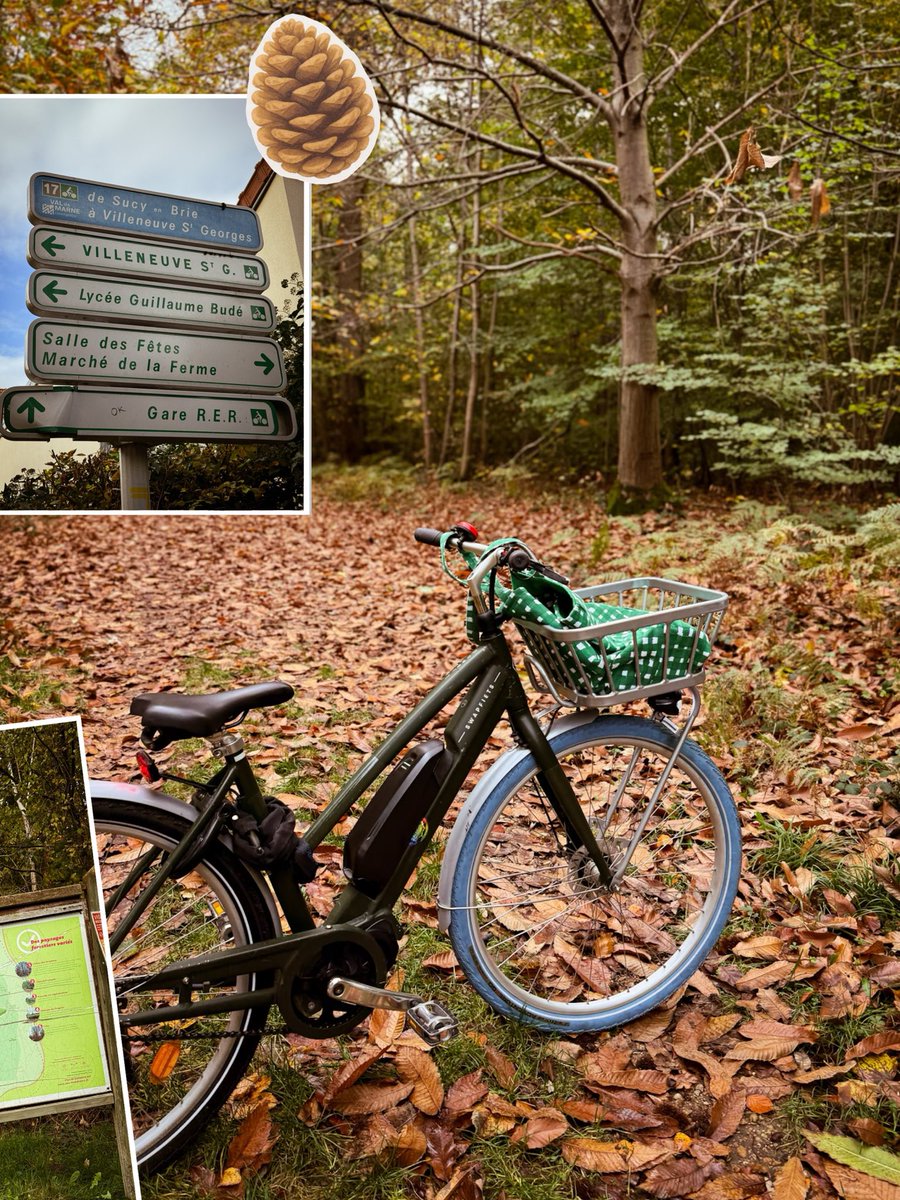 Sabine | Je bouge beaucoup 🎒 tweet media