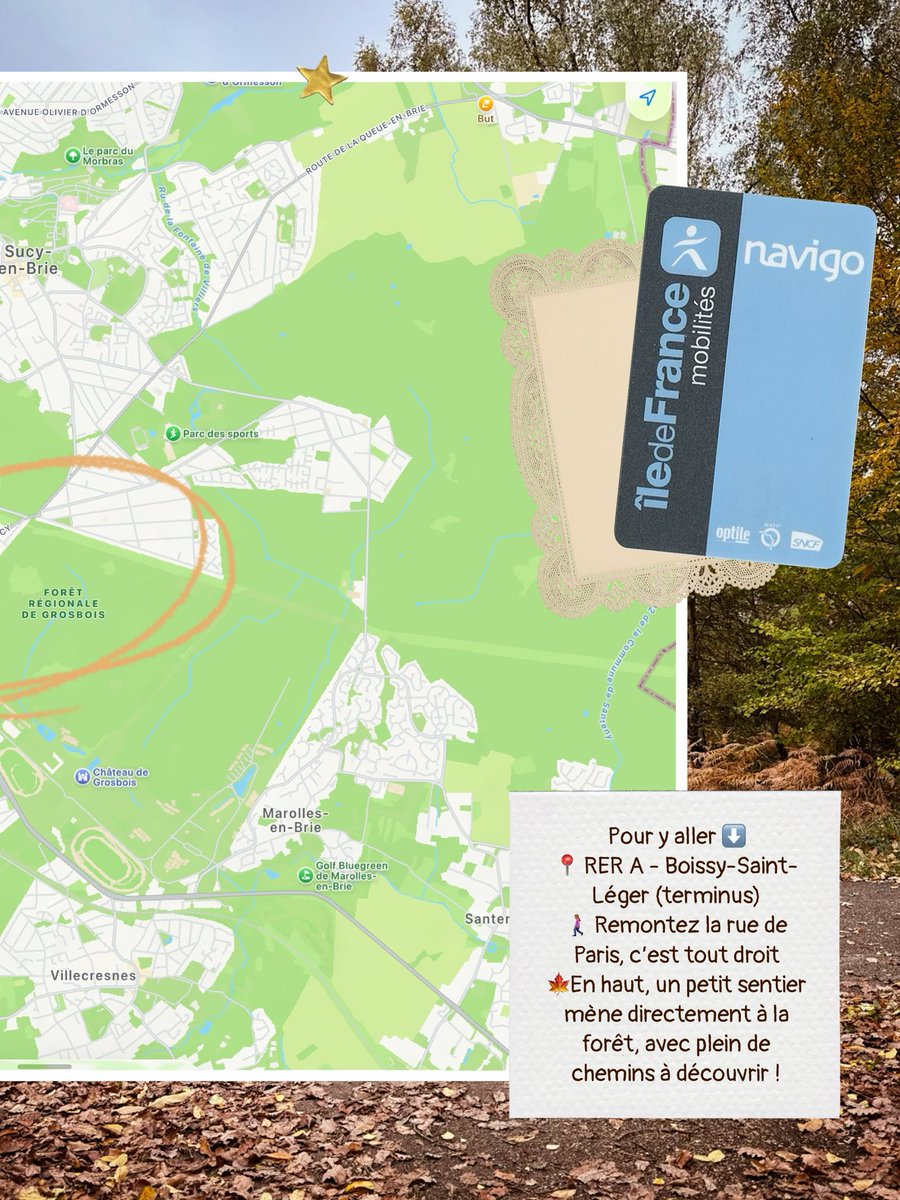 Sabine | Je bouge beaucoup 🎒 tweet media