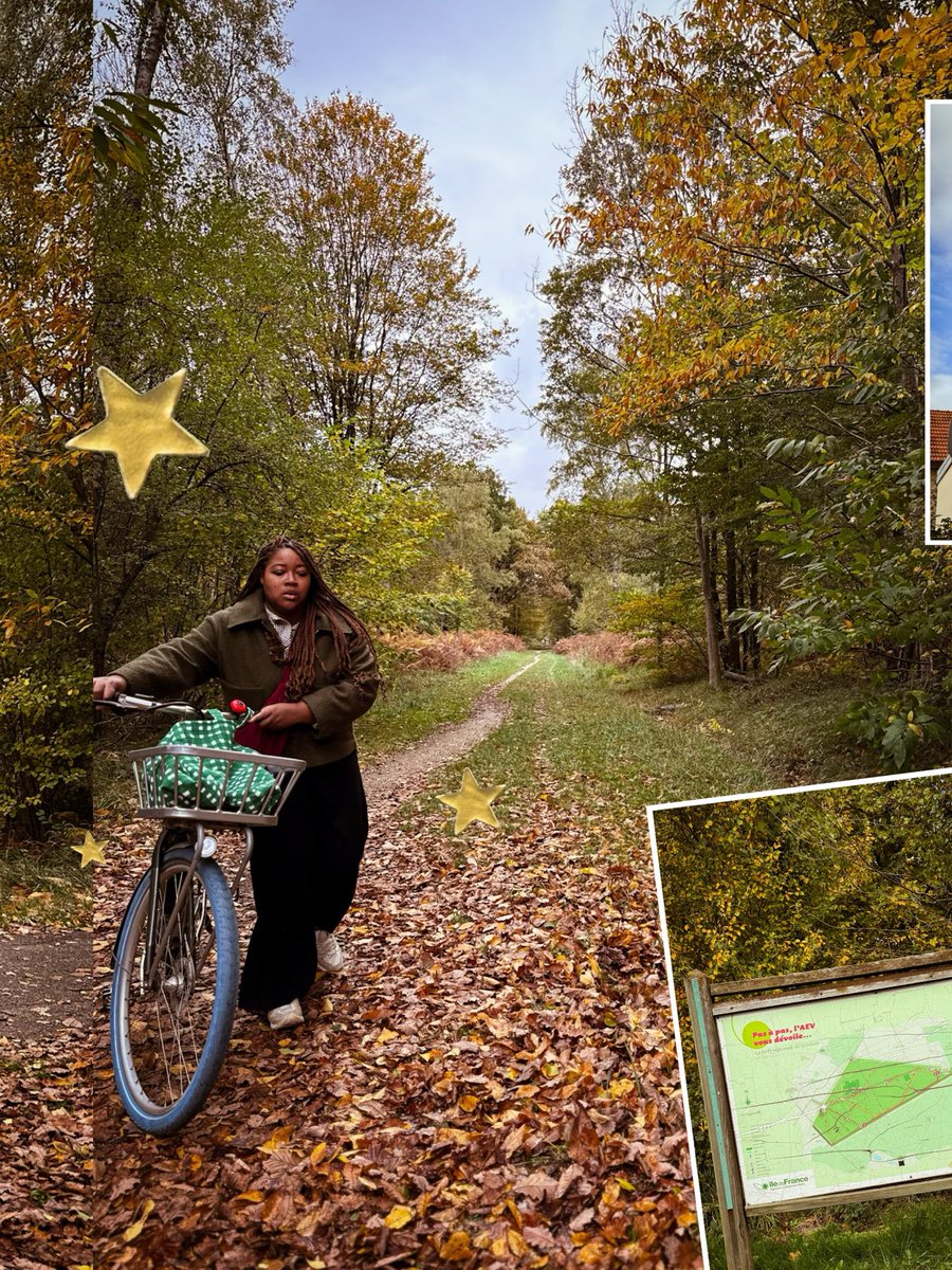 Sabine | Je bouge beaucoup 🎒 tweet media