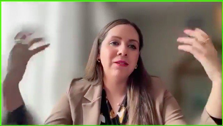 <a href="/LaboralAN/">Comisión del Derecho al Trabajo y Seguridad Social</a> <a href="/CorteConstEcu/">Corte Constitucional</a> Daniela Erazo, experta en Derecho Constitucional, señala que la Constitución reconoce a las mujeres embarazadas y en maternidad como grupo de atención prioritaria. Sin embargo, aún falta precisar su protección en la Ley para garantizar un cumplimiento real de sus derechos.