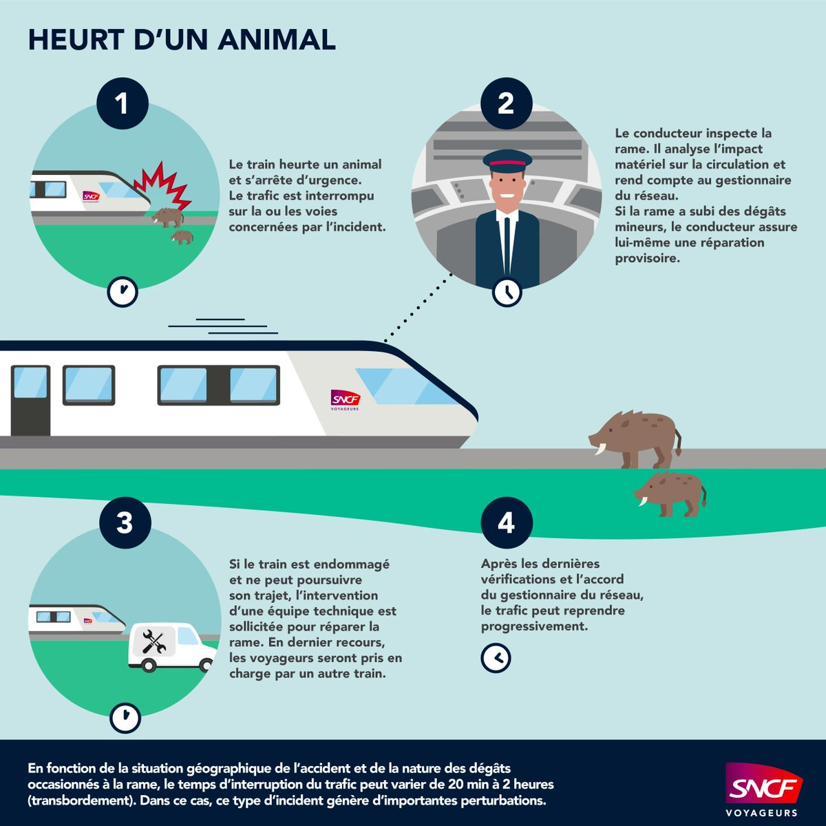 🚦 #FlashTraficNomadTrain 19h25

🔴 Heurt d'un animal entre Lison et Caen, sur la ligne Cherbourg-Paris.

❌ Le trafic est interrompue dans le sens Lison&gt;Caen, le temps d'effectuer les vérifications de sécurité nécessaires.

⌚️L'heure de reprise est estimée à 20h.

Je suis là