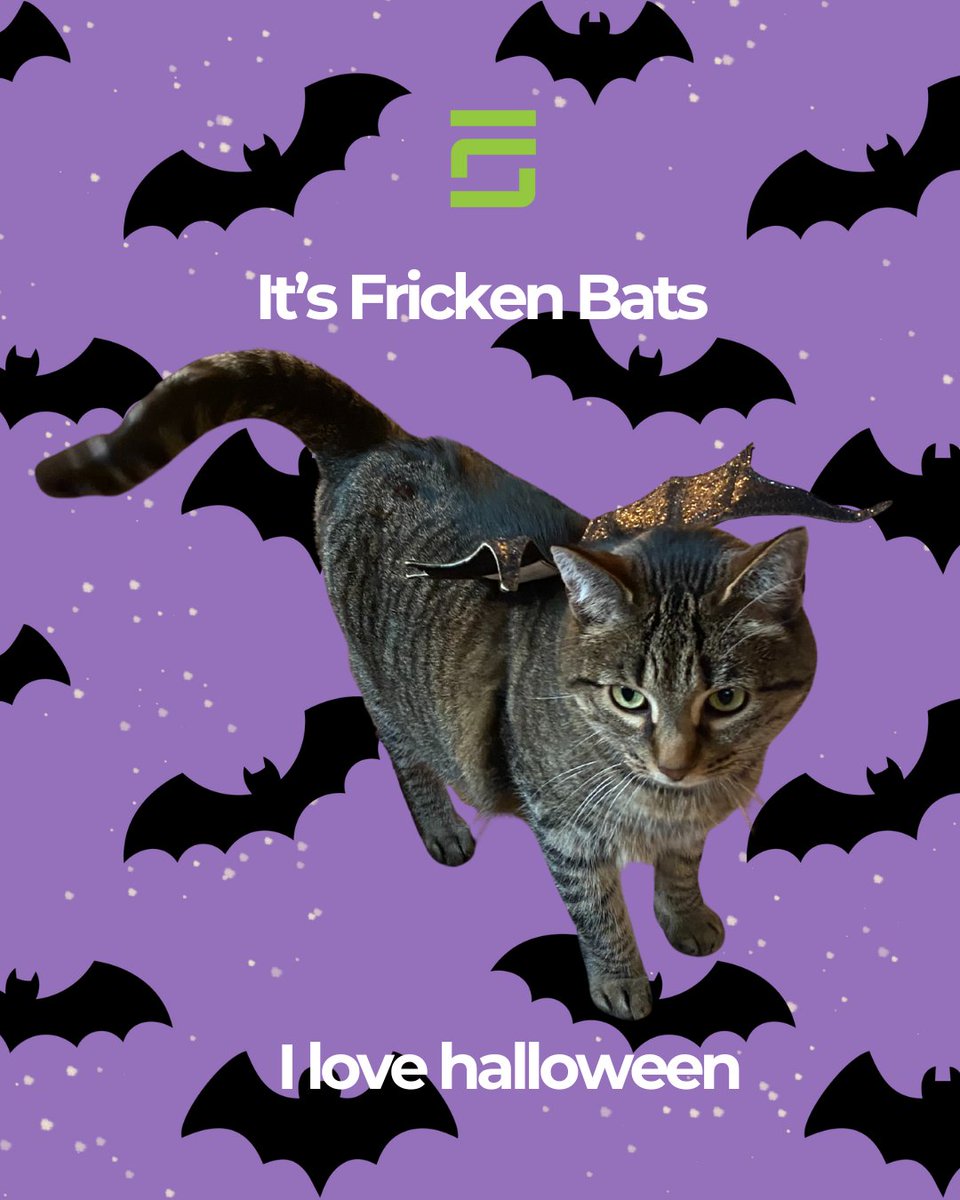 fastersolutions's tweet image. Lookit! Lookit! We know marketing is batty with all the AI changes! Let us help simplify, AI optimize, and help you to be free of the webs in marketing right now! 

#fastersolutions #marketingstrategy #marketingagency
