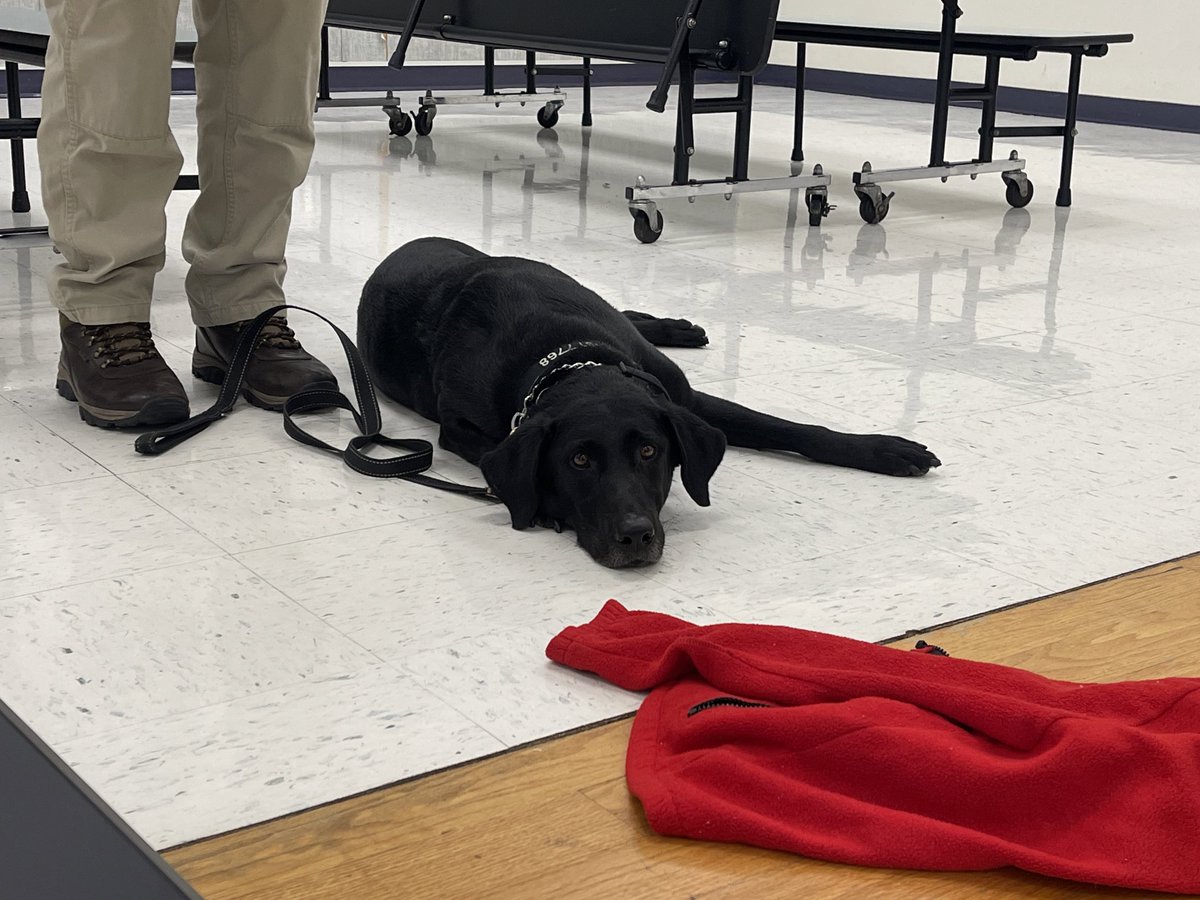 ‘Meet Dice and Yoko!
They keep us on point around these parts.