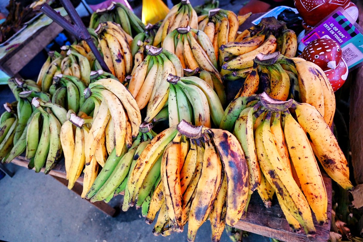 Mercado de Belén en Iquitos, Perú. 
Belén Market in Iquitos, Peru.
1/2
#Amazonia #Amazonas #Peru