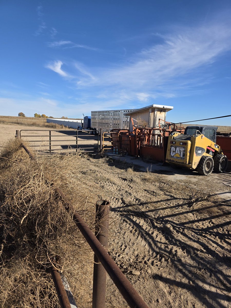 Jacob Wilgenburg tweet media