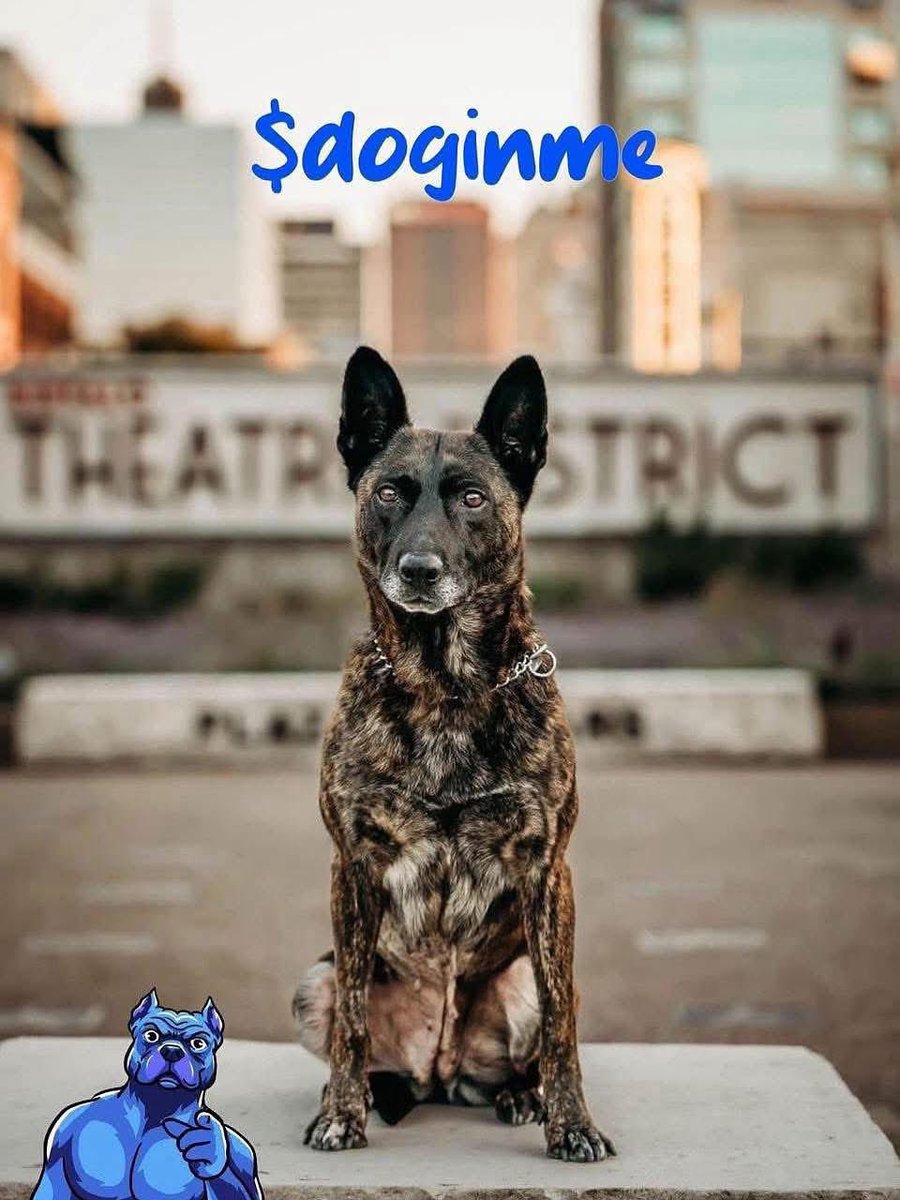 🐾 🐾Big shoutout to <a href="/doginmeonbase/">doginme</a> for their continued support of Project K-9 Hero!

As a community-driven cryptocurrency project, Doginme harnesses the power of NFTs + digital assets to raise funds for our nation’s retired Police K-9s and Military Working Dogs.