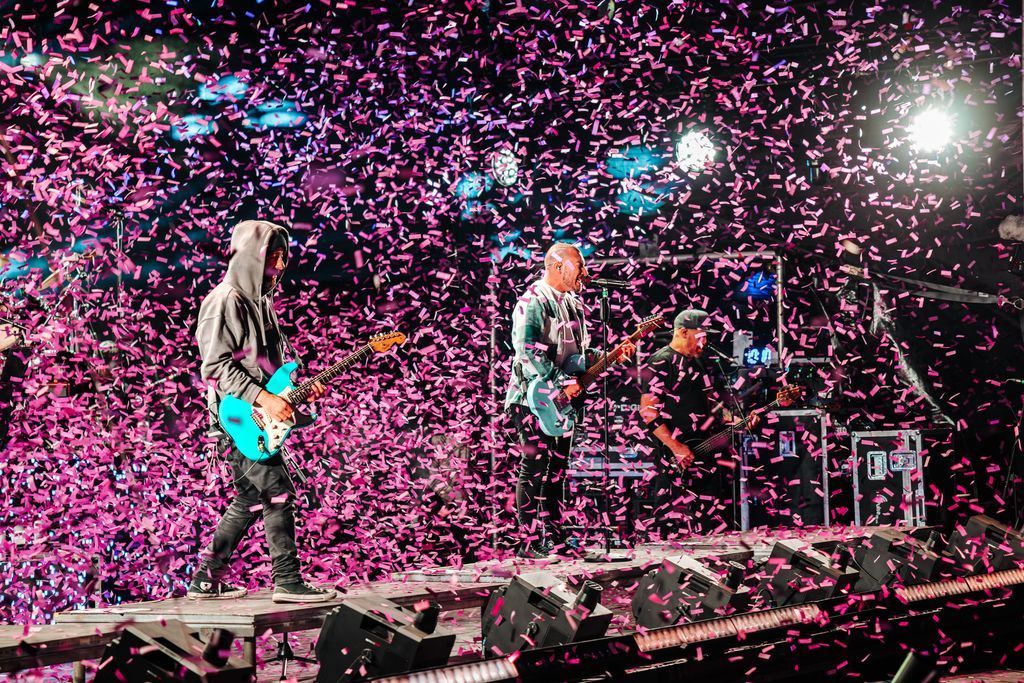 Teddy Rocks Festival tweet media