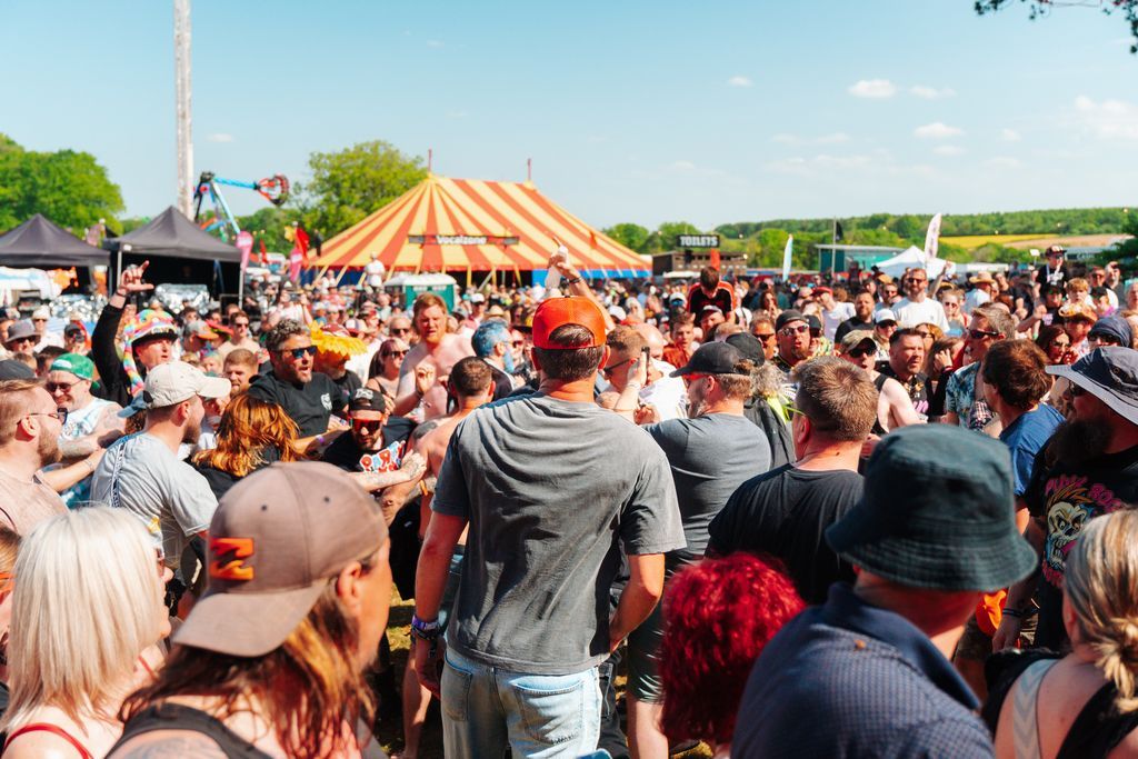 Teddy Rocks Festival tweet media