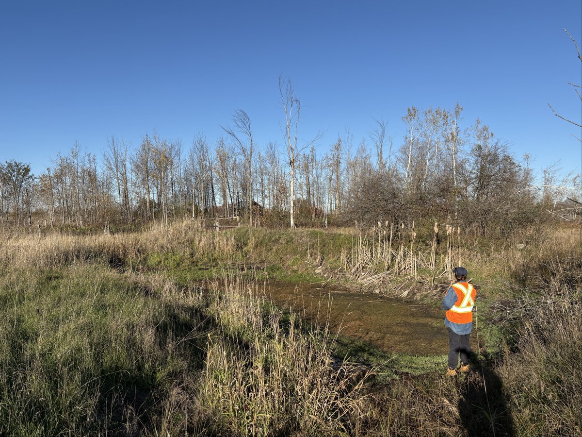 100 new native trees + shrubs planted today for the Talbot River Healthy Environment Initiative! 🌱 This farm now has exclusion fencing + a solar watering system protecting the pond + flow zone.
Funding up to $10k + free water sampling in 2026 available for local farms!

<a href="/conont/">Conservation Ontario</a>