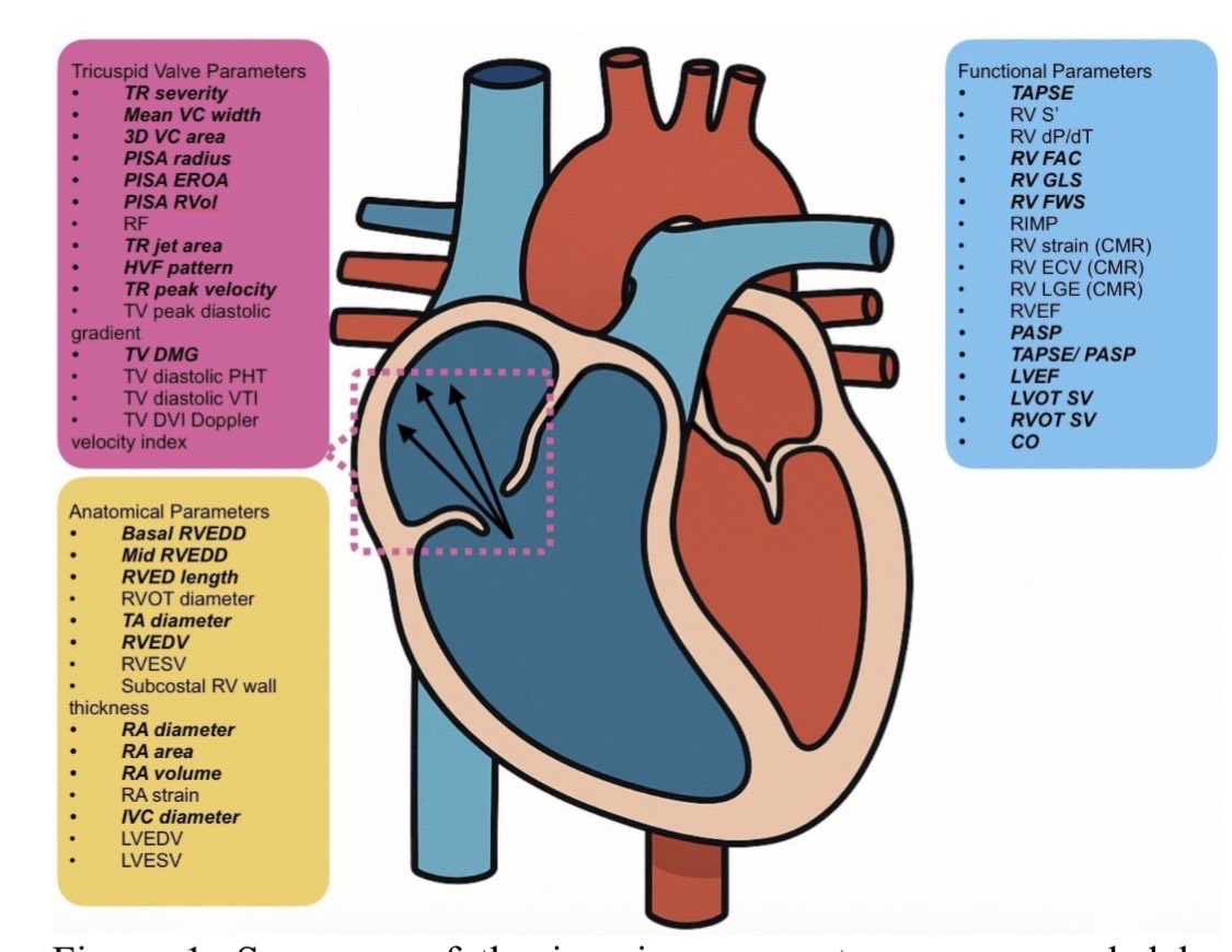 JGrapsa's tweet image. 🔥🔥 Hot off the press 🔥🔥

The importance of RV dysfunction assessed via #multimodality #imaging in #structural #tricuspid interventions - diagnostic/prognostic. Indices that have been employed so far and the bright future 🌟

A much needed paper for future trials / studies…