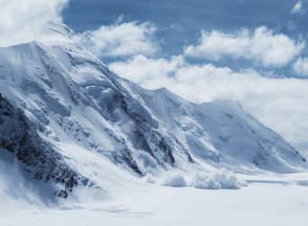 Vogelgrippe in der Antarktis –  Forschende befürchten erhebliche Auswirkungen auf die Vogelpopulationen seismoblog.de/allgemein/voge… 
#Vogelgrippe #Antarktis #H5N1 #Virus