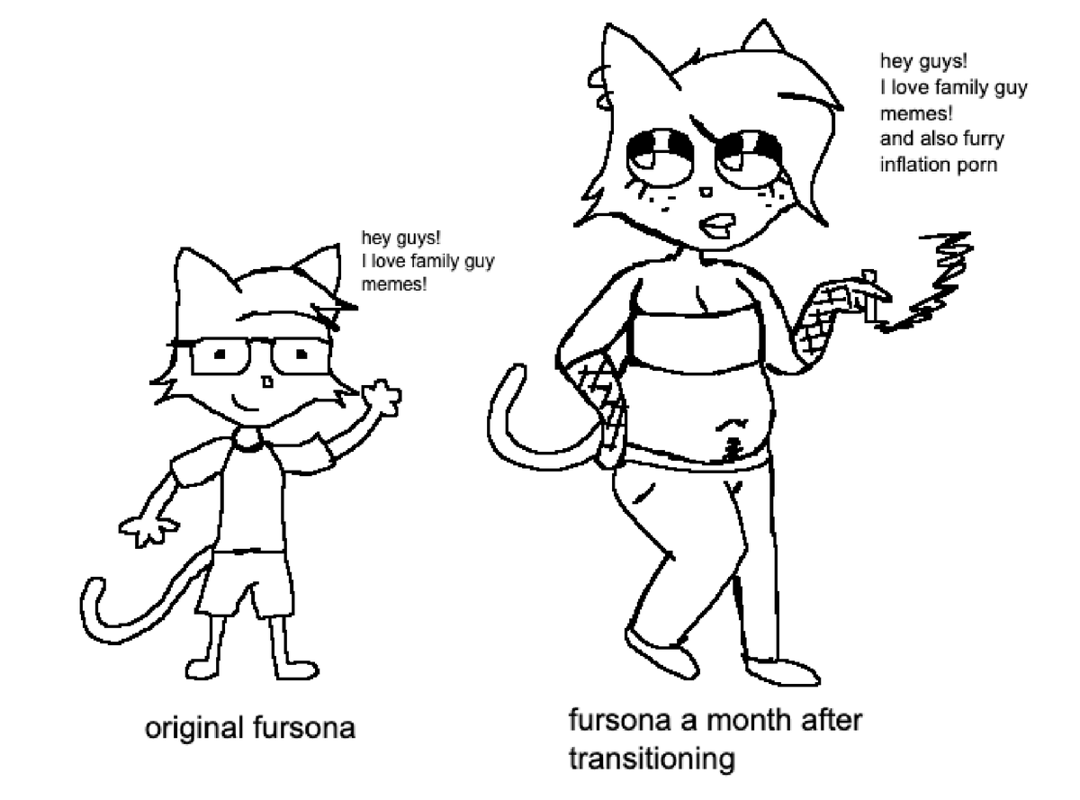 normie 𓆏🦔 tweet media