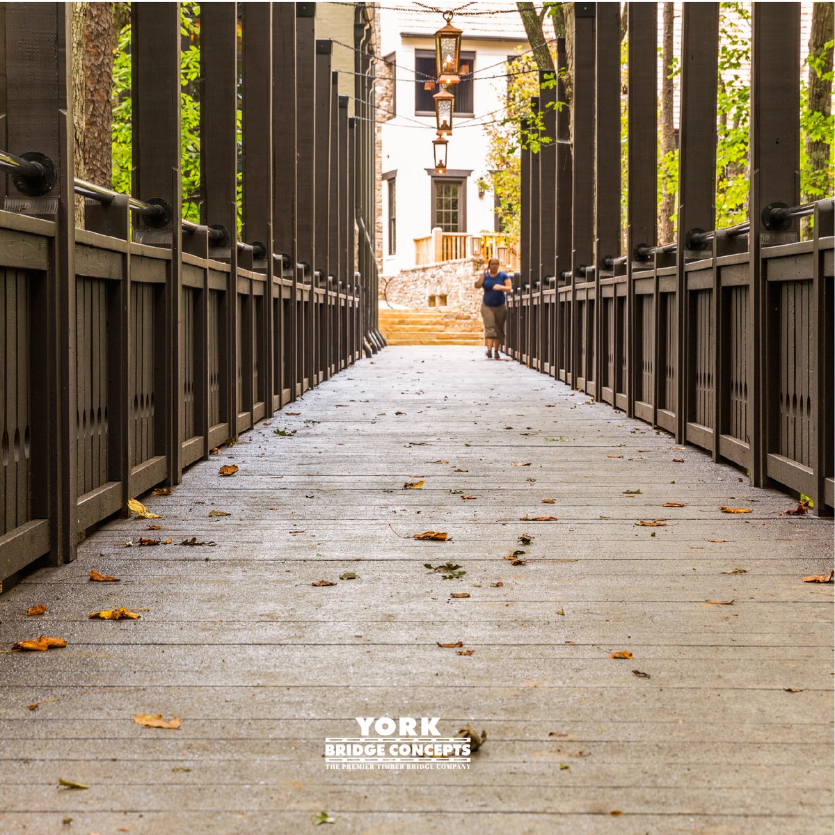 York Bridge Concepts tweet media