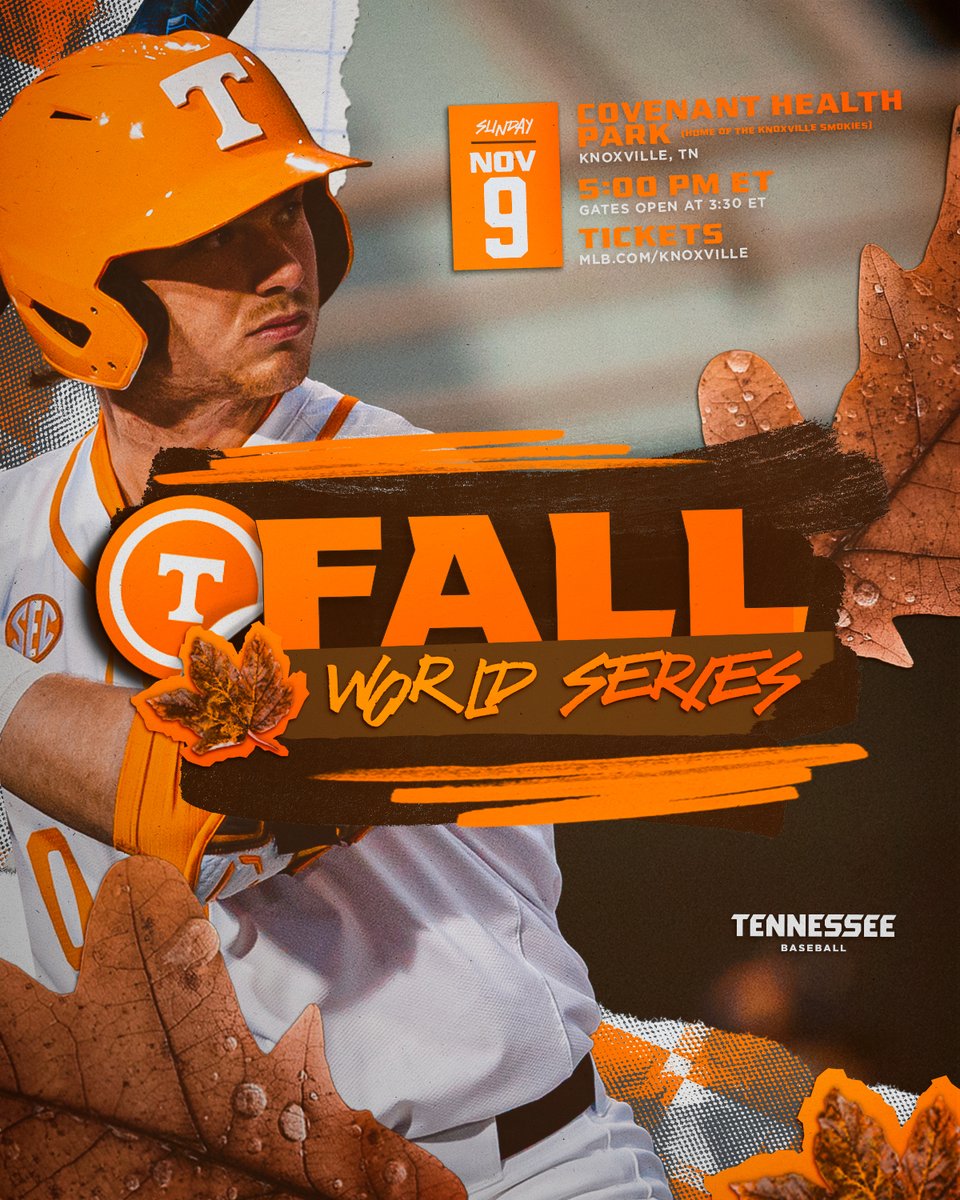 Tennessee Baseball tweet media