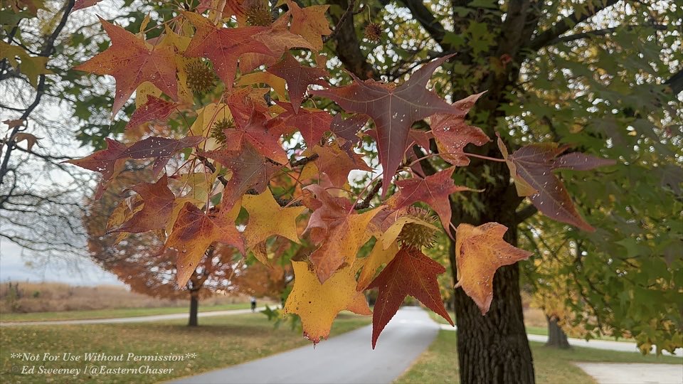 EasternChaser's tweet image. Some pretty vibrant fall colors at Valley Forge National Park in suburban Philadelphia, PA yesterday: #pawx #fallcolors #Autumn #FallFoliage