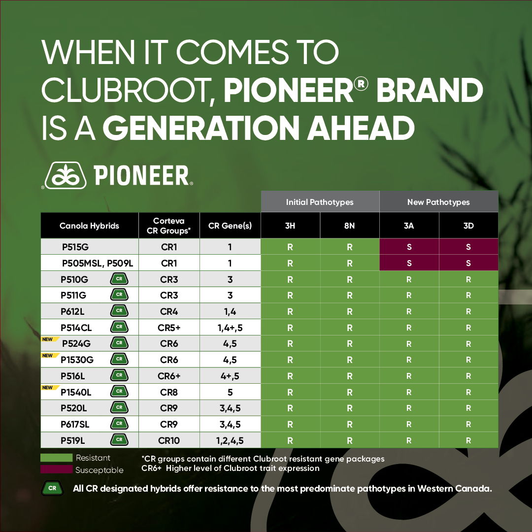Pioneer Seeds Canada tweet media