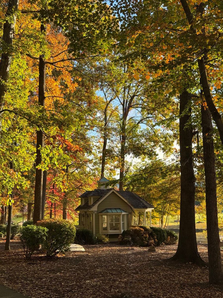 MasonPatriots's tweet image. 🍂 Fall into self-care, Patriots! 💚💛
As the leaves change and the semester picks up, take a moment to check in with yourself and your well-being. 💭✨

It’s okay to slow down, rest, and reach out if you need support. 

#MasonNation #StudentInvolvement