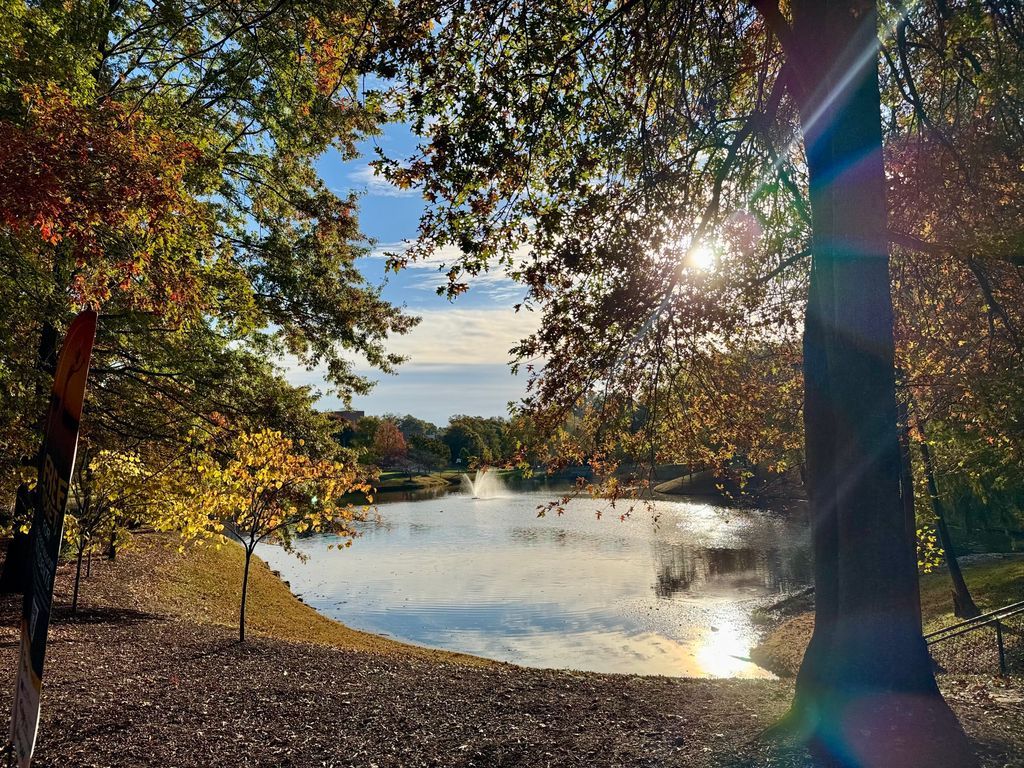 MasonPatriots's tweet image. 🍂 Fall into self-care, Patriots! 💚💛
As the leaves change and the semester picks up, take a moment to check in with yourself and your well-being. 💭✨

It’s okay to slow down, rest, and reach out if you need support. 

#MasonNation #StudentInvolvement