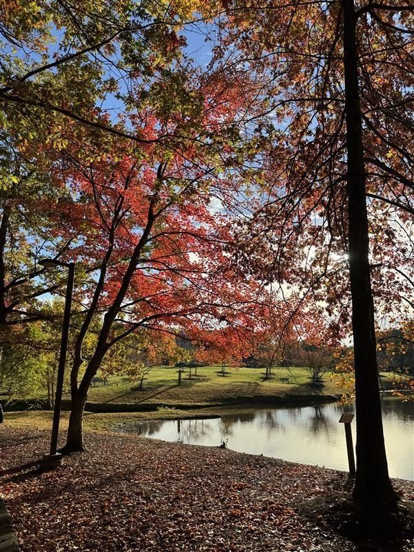 MasonPatriots's tweet image. 🍂 Fall into self-care, Patriots! 💚💛
As the leaves change and the semester picks up, take a moment to check in with yourself and your well-being. 💭✨

It’s okay to slow down, rest, and reach out if you need support. 

#MasonNation #StudentInvolvement