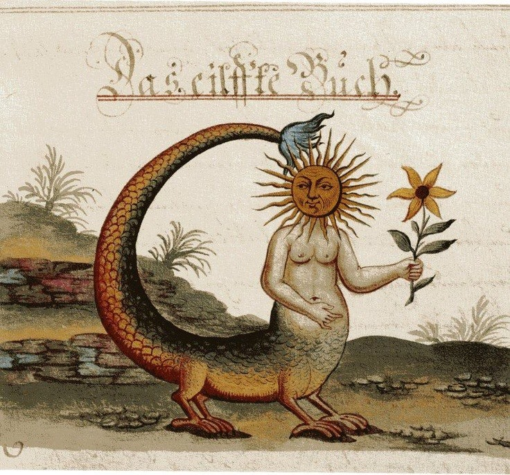 cartographer_s's tweet photo. From the alchemical manuscript "Clavis Artis," Germany, late 17th to early 18th century https://t.co/J90TAcoxhS