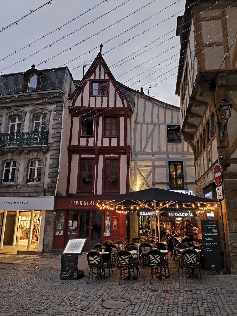 jfgino's tweet image. Un peu de douceur dans ce monde de brutes complotistes. #Bretagne sud, ville de #Vannes en soirée #Gwened. La 🇫🇷 est belle, sa terre nous nourrit, respectons là!