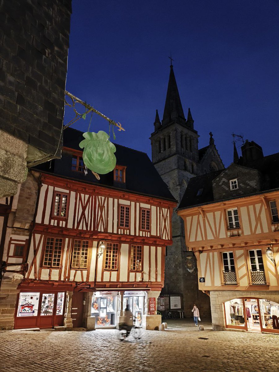 jfgino's tweet image. Un peu de douceur dans ce monde de brutes complotistes. #Bretagne sud, ville de #Vannes en soirée #Gwened. La 🇫🇷 est belle, sa terre nous nourrit, respectons là!
