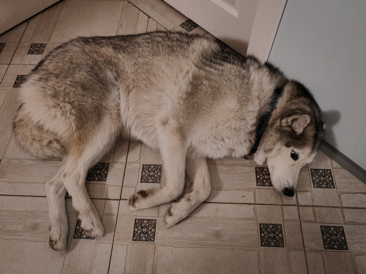 Верилий tweet media