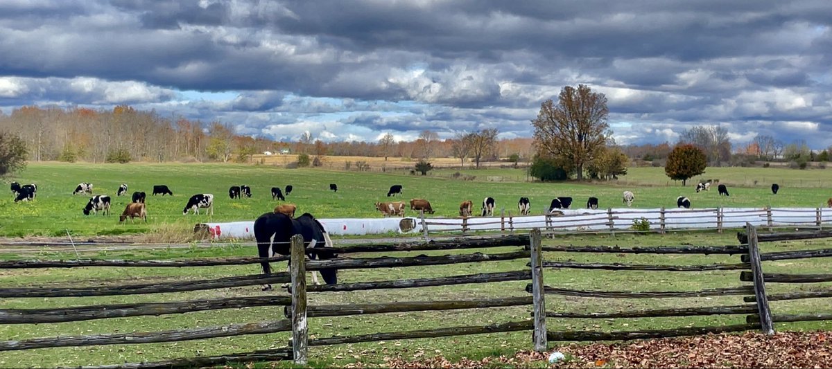 Charlie Cumpson tweet media