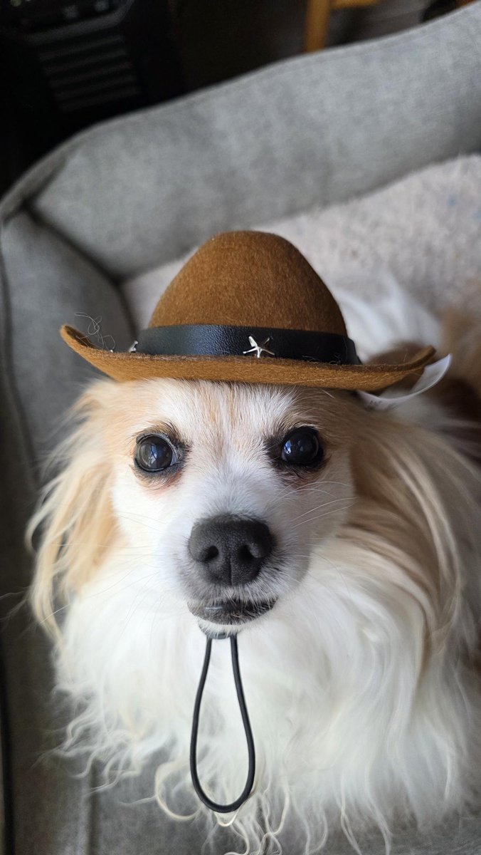 AveryAverysons's tweet photo. Yeehaw https://t.co/c4ZFxsCJIo