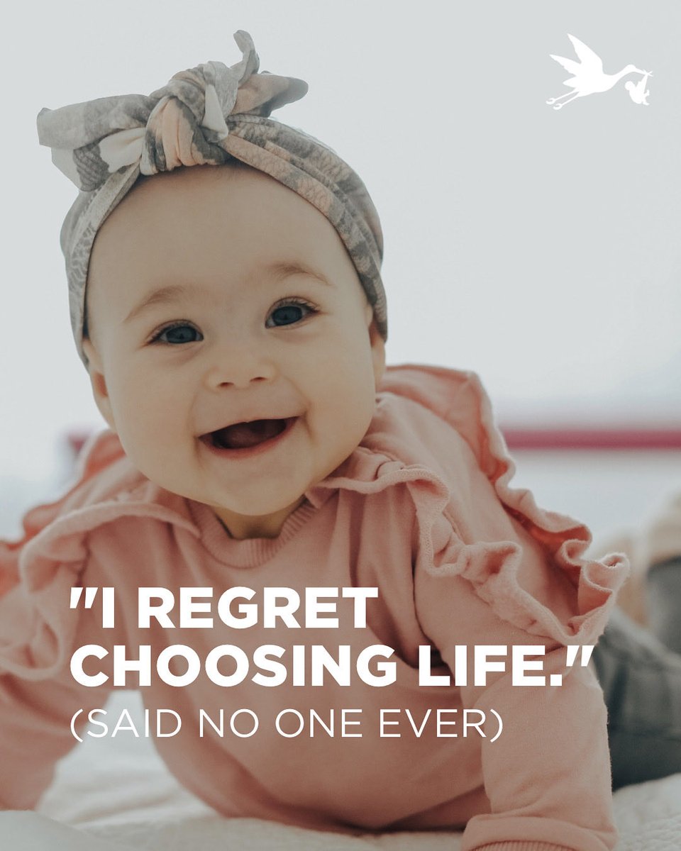 Save the Storks tweet media