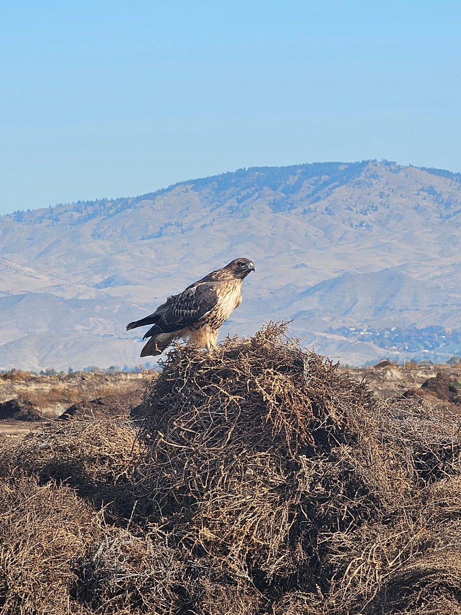 TheLRGroup1's tweet image. 🚛☀️ When your office view looks like this… you know you’re working for The L&amp;amp;R Group! 😎

Big shoutout to Adam Avery for snapping these awesome shots and reminding us that hard work comes with a pretty great view. 📸👏

#TheLRGroup #OnTheJobViews #WorkPerks #TruckLife