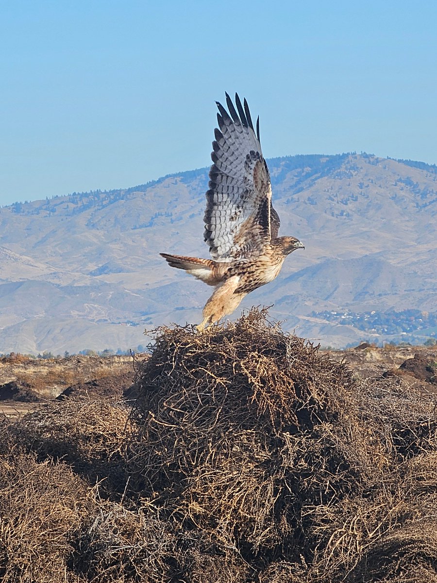 TheLRGroup1's tweet image. 🚛☀️ When your office view looks like this… you know you’re working for The L&amp;amp;R Group! 😎

Big shoutout to Adam Avery for snapping these awesome shots and reminding us that hard work comes with a pretty great view. 📸👏

#TheLRGroup #OnTheJobViews #WorkPerks #TruckLife