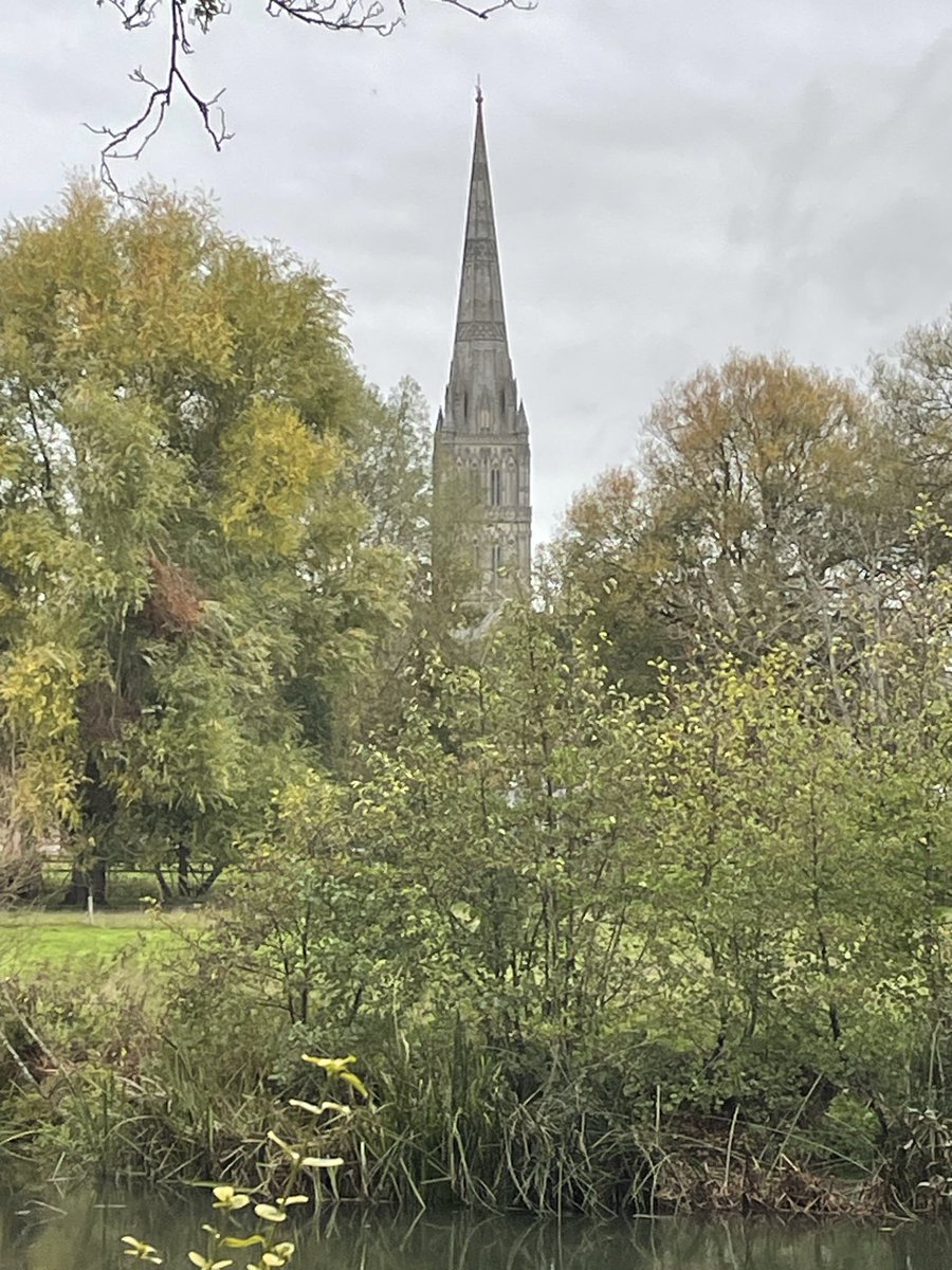 Grizzlegutweed the Bear tweet media