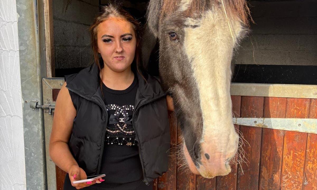 standardnews's tweet photo. Met Police issue plea to help find missing 14-year-old girl last seen in east London https://t.co/UqYVKc4ctv https://t.co/NhOLEm9tHE