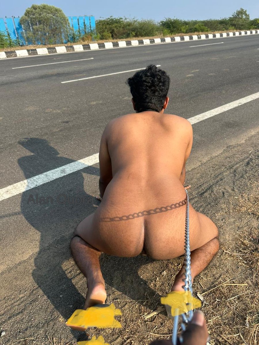 alan quora tweet media