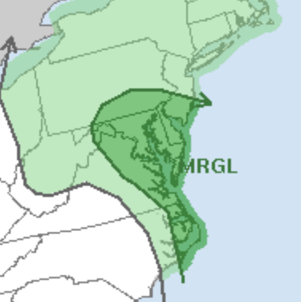 Need to watch this area for some severe winds and potential spin up. Synoptic patter supports, and with that warm sector getting dragged, in should provide enough instability. Would not be surprised at a bump to slight risk.